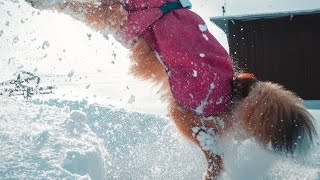 【ニュース解説】ナフサ中東以外からの調達量4月は通常の2倍に増加見通し｜要点を60秒で整理