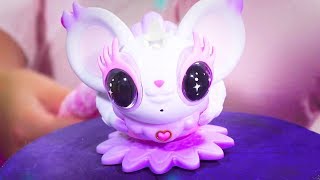 How to Play with Your Cute Pixie Belles | Toy Videos for Kids | Pretend Play