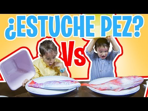 MATERIAL ESCOLAR vs ✏️ REAL FOOD🍎 vs School Supplies