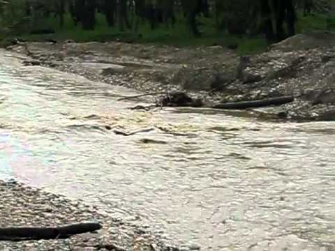 Pod Badiceni Malureni, Arges 20 04 2014