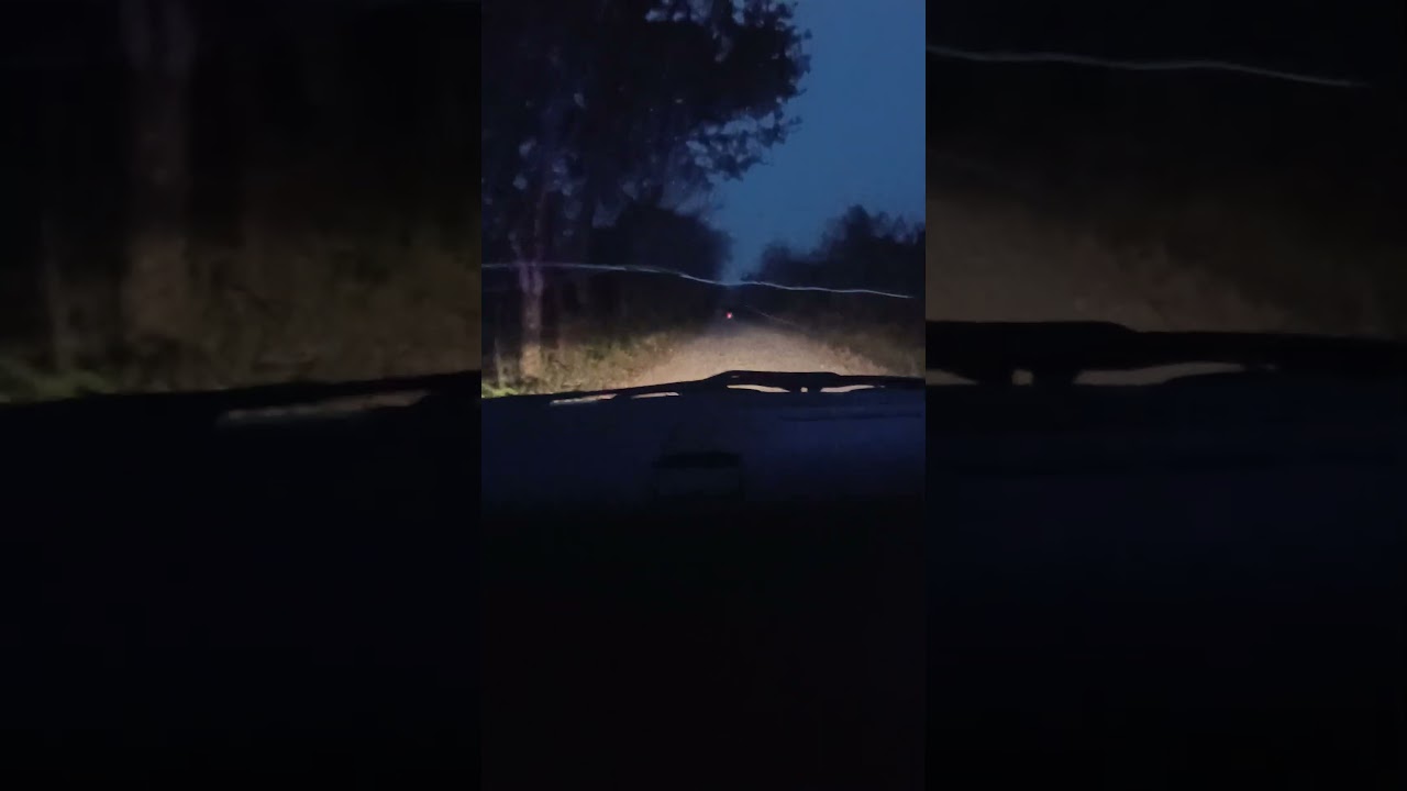 Pa Donde Valla No Hay Ley ....👹👺