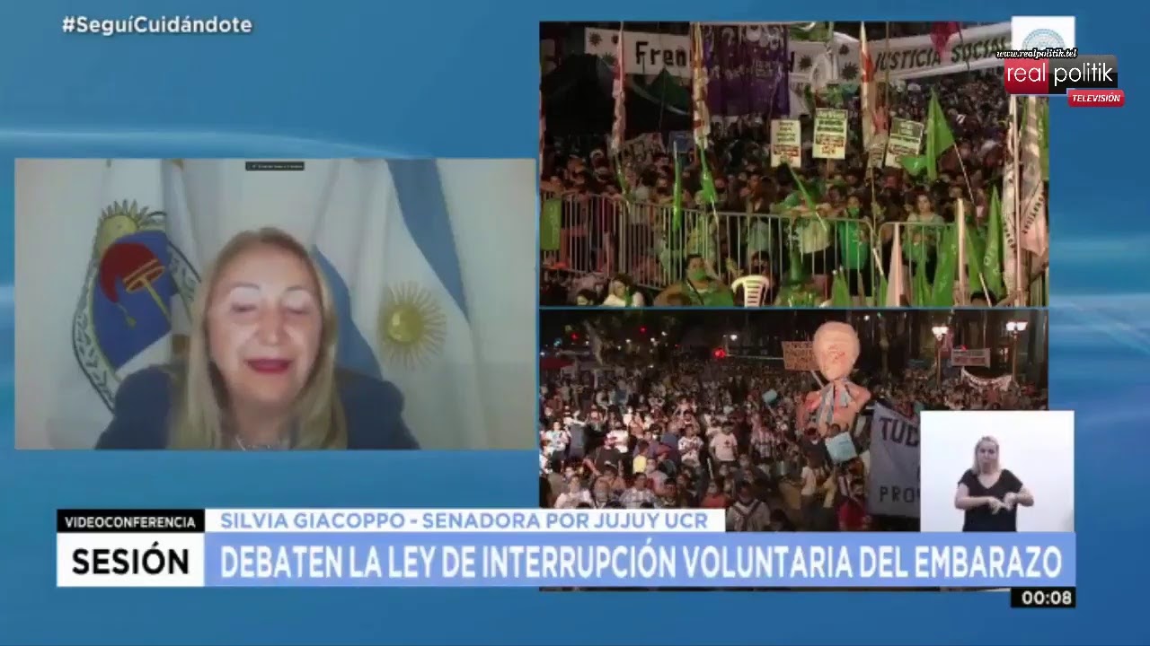 El Senado debate el proyecto de Ley de Interrupción Voluntaria del Embarazo