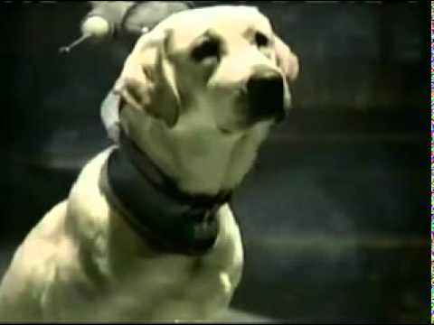 Budweiser Commercial - We are not Alone (Wassup Aliens)