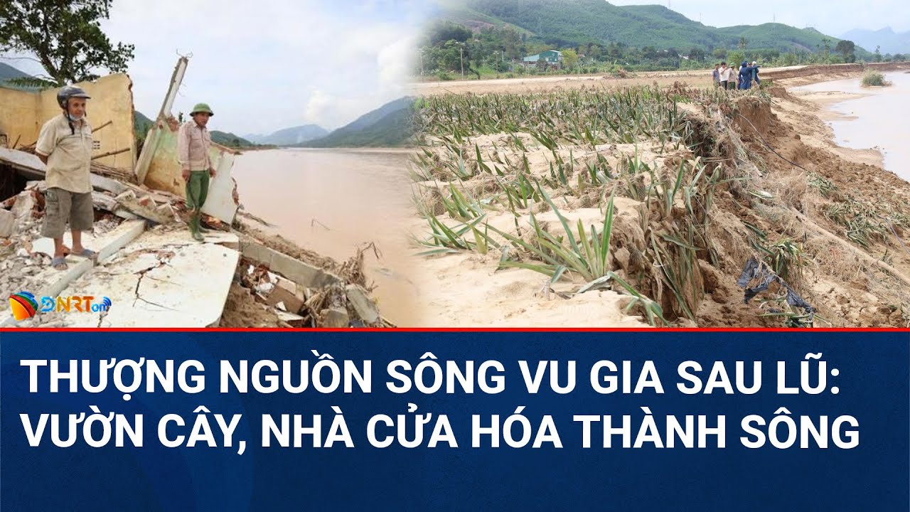 THỜI SỰ ĐÀ NẴNG | Người dân rơi vào cảnh "trắng tay" sau sạt lở thượng nguồn sông Vu Gia