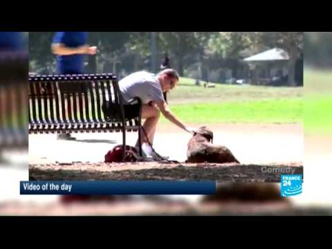 Video of the day: the 'talking dog' prank