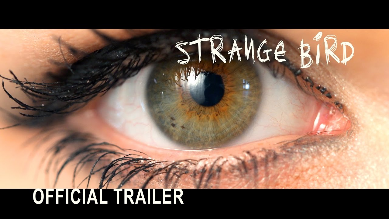 THE AXI / STRANGE BIRD / FILM TRAILER / Director: Shawn Welling AXI