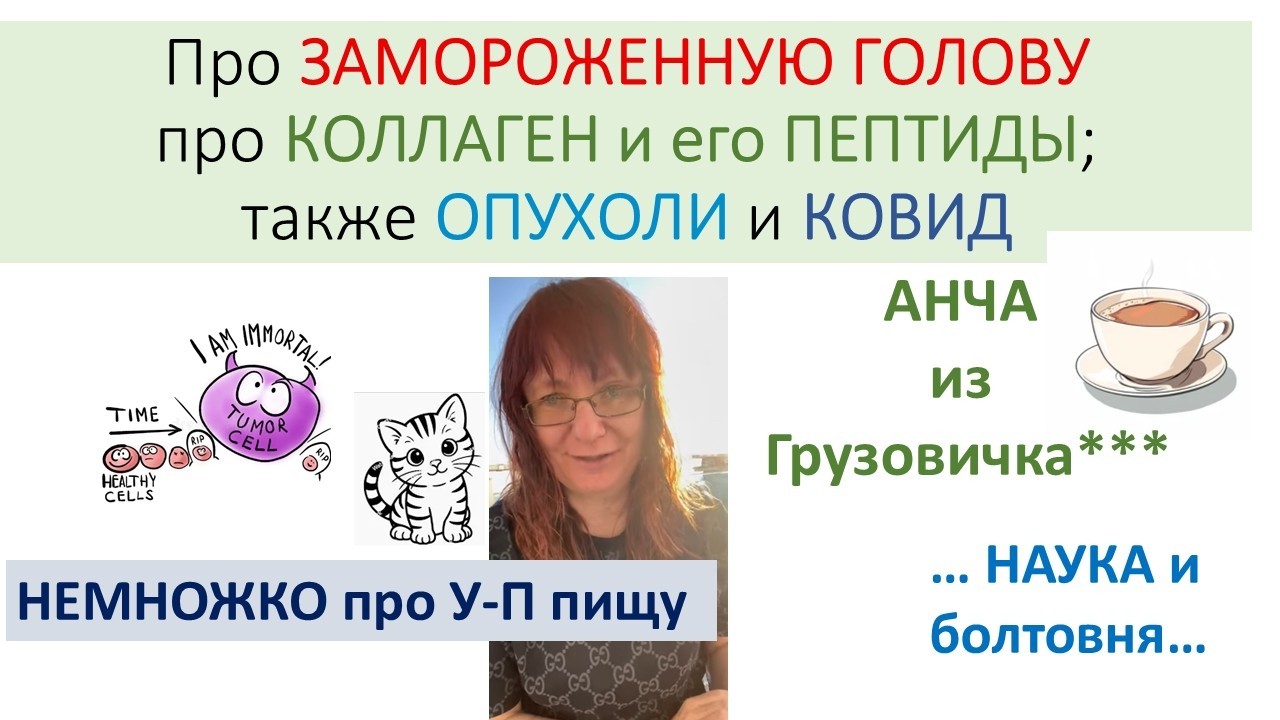 Про коллаген и про замороженную голову