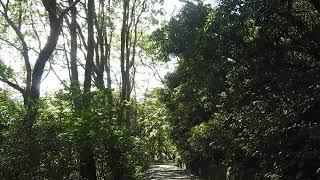 中央公園10月25日