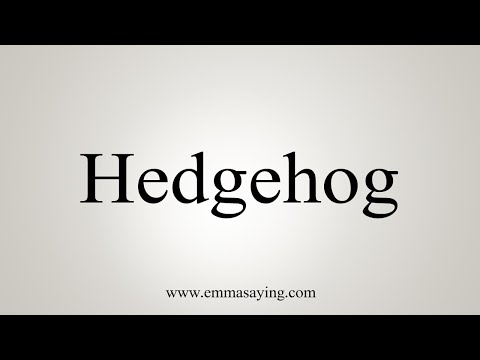 How To Say Hedgehog