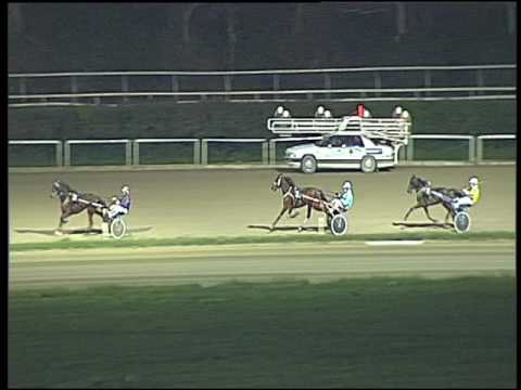 Trotto 17/03/2017 - prova di qualifica