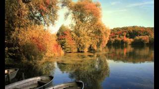 Sugarcult - The Investigation