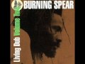 Burning Spear African Postman Dub