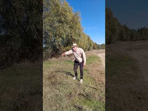 FÂNTÂNA MINUNE. #comedy  #pamflet