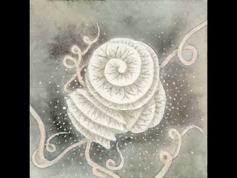 Whitearmor — Could be us (Official Audio)