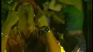 Don Dinero ft Celia Cruz -- Son de la loma