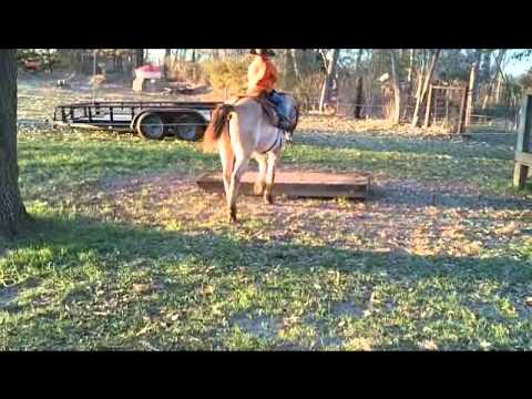 Coleman riding Teddy at the Double C Ranch