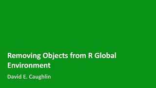 Removing Objects from R Global Environment