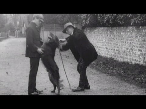 The Dog Detective (aka £100 Reward)