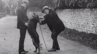 The Dog Detective (aka £100 Reward)