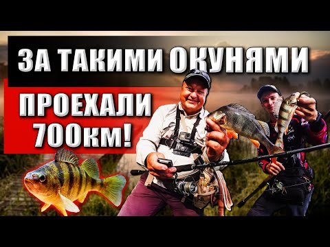 Миниатюра изображения товара Удилище Crazy Fish Arion / ASRE922LT