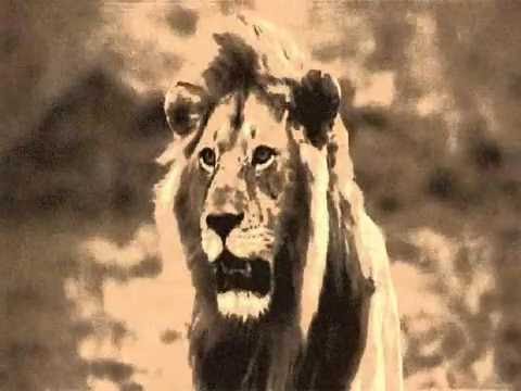 Wellette Seyon - Blessed Ethiopia (music video)