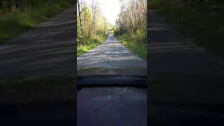 Matthew Good/All You Sons And Daughters