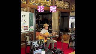 花嫁 #歌ってみた #弾き語り #ギター #昭和歌謡カバー#はしだのりひことクライマックスをカバー #guitar #寺ライブ