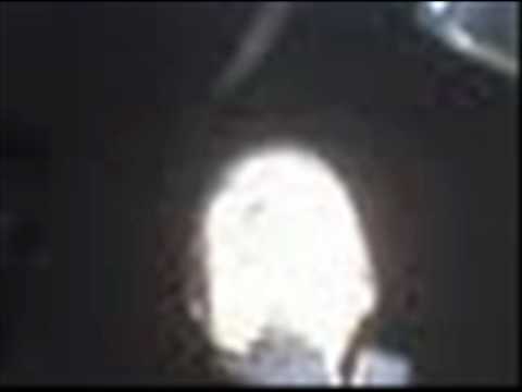 Nudeswirl - Ringworm