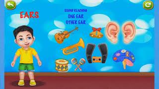 The Human Body for Kids | Learn about ears | Educational cartoons