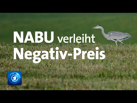 NABU verleiht Negativ-Preis "Dinosaurier des Jahres"