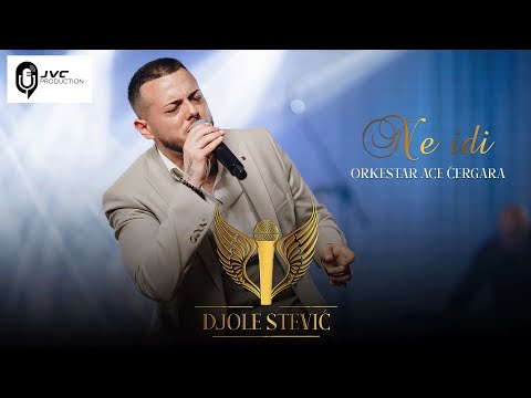 Djole Stevic & orkestar Ace Cergara - Ne idi (Cover 2023)