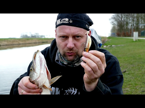 Matze Koch: Hecht mit Shirasu Printshads von BALZER