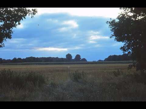 Félix-Alexandre Guilmant (1837 - 1911): Lamentation Op  45, 1