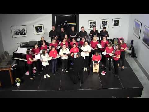 Gut wieder hier zu sein / Hannes Wader/Roland Demmeler - Günztaler Vocalensemble