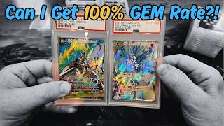 FIRST Dragon Ball Grading Submission | DBZ POV