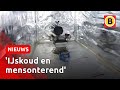 Martelkamer in zeecontainer: politie keek mee | Omroep Brabant