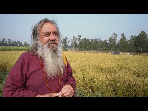 Der Hanf - Die Pflanze des ekstatischen Gottes Shiva