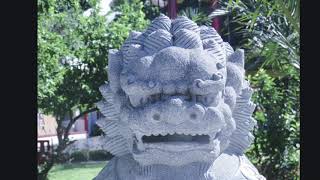 Kung Shee Fat Choy! Bonne année !