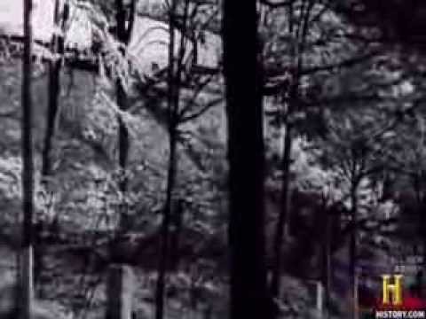 The Rise of the Third Reich