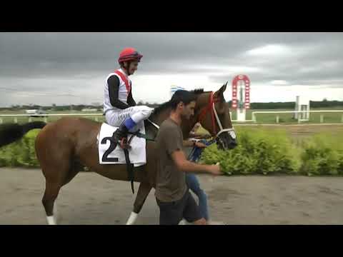 CARRERAS SINT FLORIDA - 211125 c03 1° SONORA (BRZ)