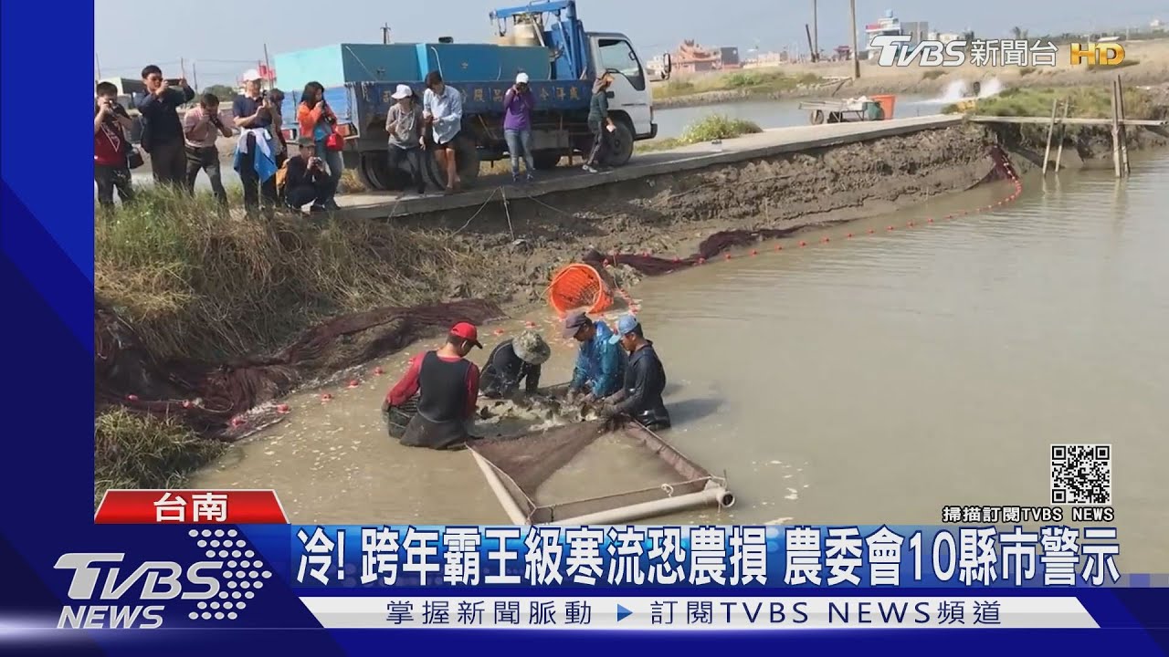 冷!跨年霸王級寒流恐農損 農委會10縣市警示