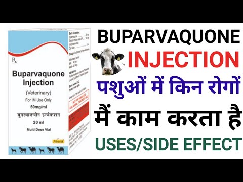 Buparvaquome injection ip, 250 mg