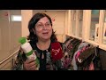 Provincie Flevoland gaat scholen helpen met verduurzamen gebouwen