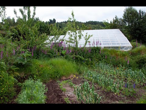 Paul's Humanity Rising presentation on the regeneration/forestation of their land  in Patagonia