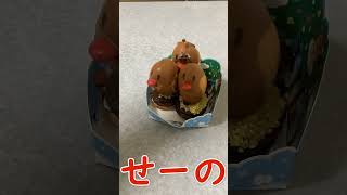 ダグトリオ、発射準備！その後…