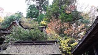 preview picture of video ''09年　吉野山の紅葉をTime-lapseする。'
