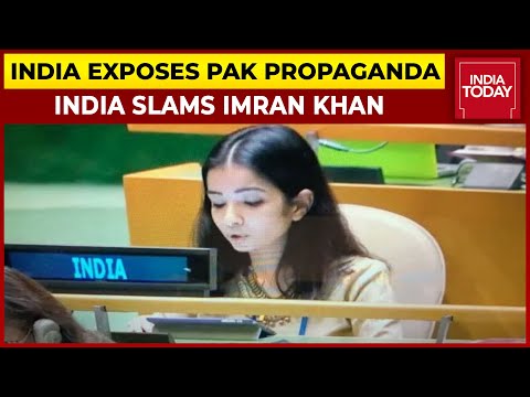 Pakistan An 'Arsonist' Disguising Itself As A 'Fire-Fighter': India Exposes Pak Propaganda At UN