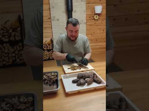 Травник Денис Кайгородов режет бобровую струю и рассказывает о нюансах приготовления настойки