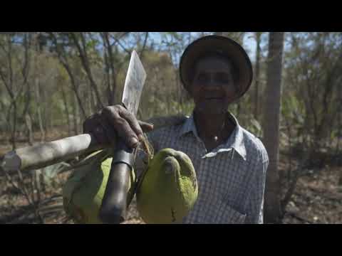 Sustainability Report 2020 | Hefterheft