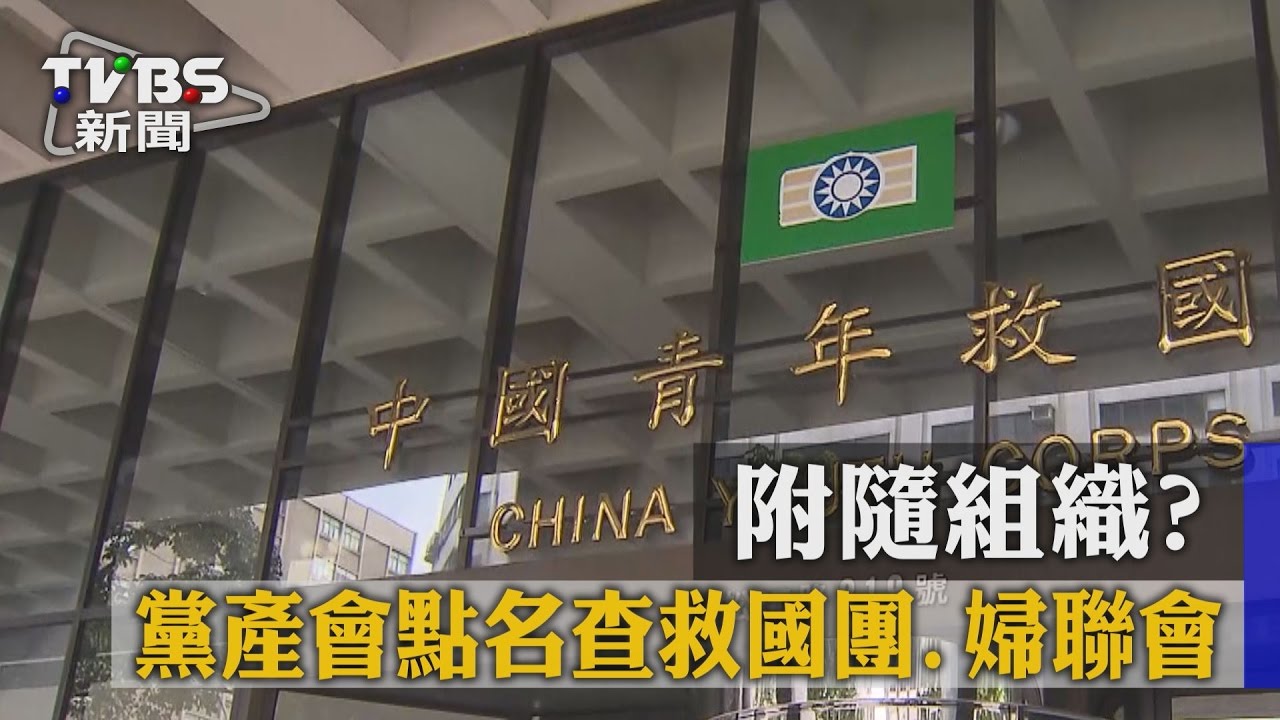 附隨組織? 黨產會點名查救國團、婦聯會